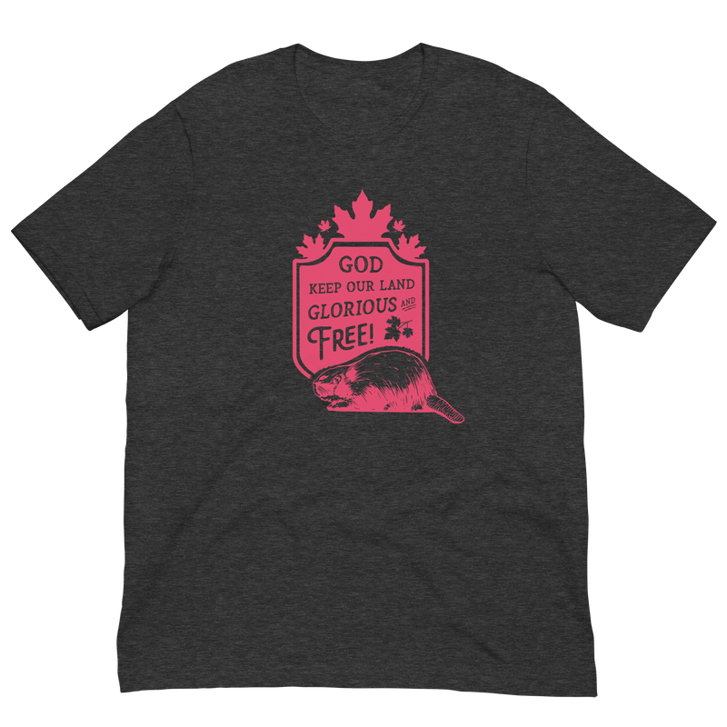 Load image into Gallery viewer, God Keep Our Land Unisex T-Shirt