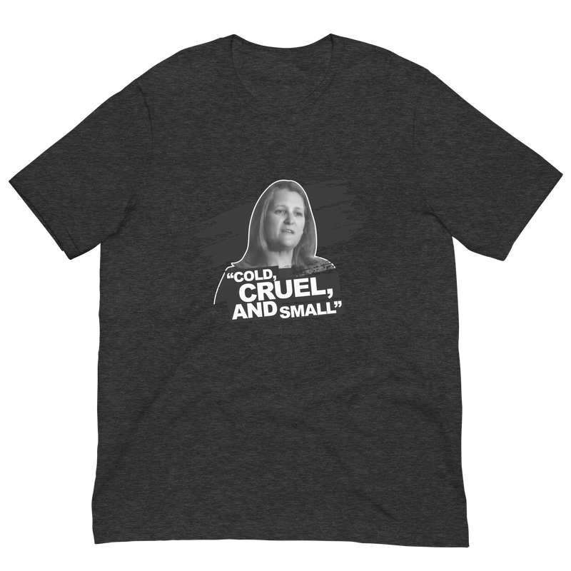 Load image into Gallery viewer, Cold, Cruel, and Small Unisex T-Shirt