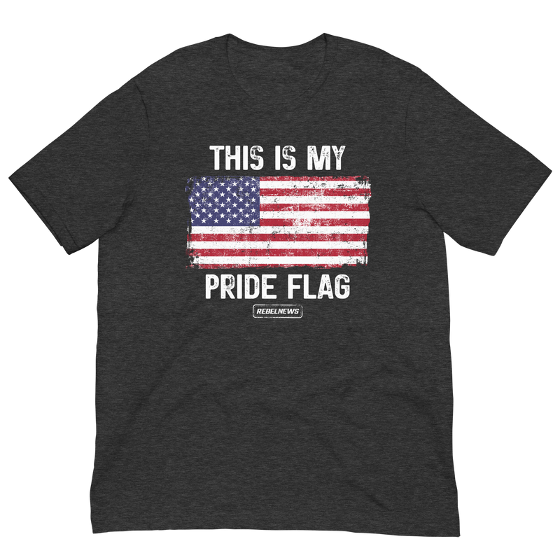 Load image into Gallery viewer, This is my Pride Flag (US) Unisex T-Shirt