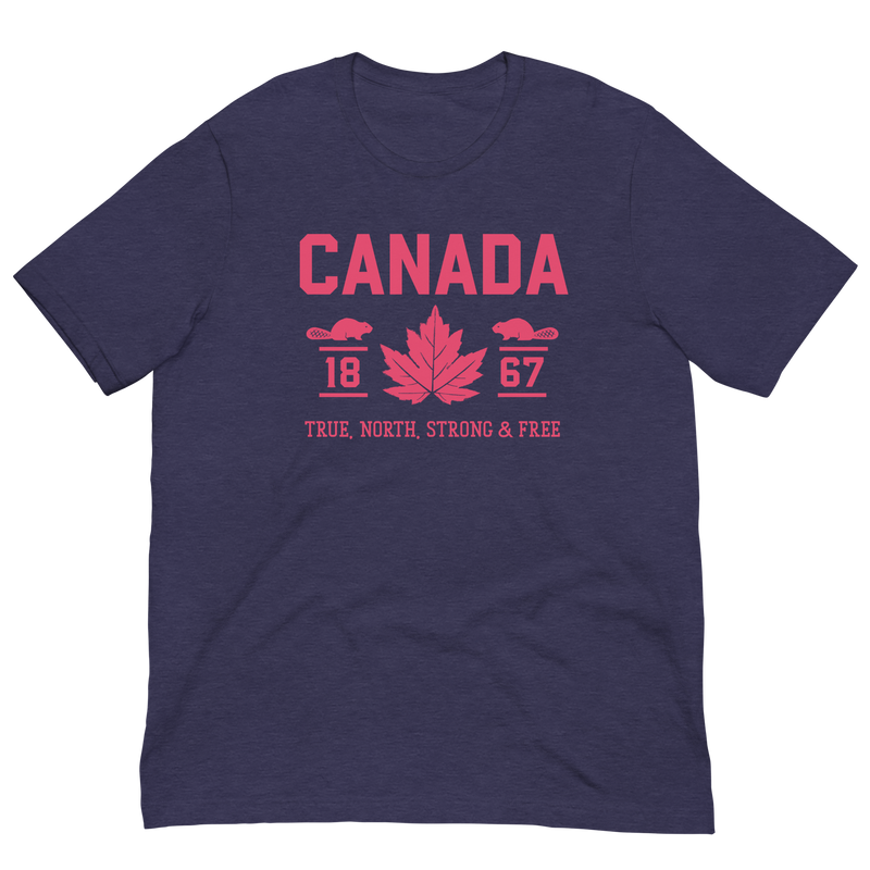 Load image into Gallery viewer, True North Strong and Free Unisex T-Shirt