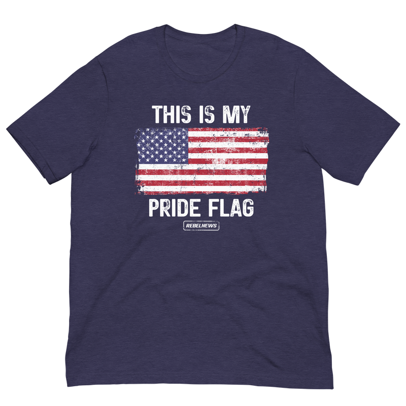 Load image into Gallery viewer, This is my Pride Flag (US) Unisex T-Shirt