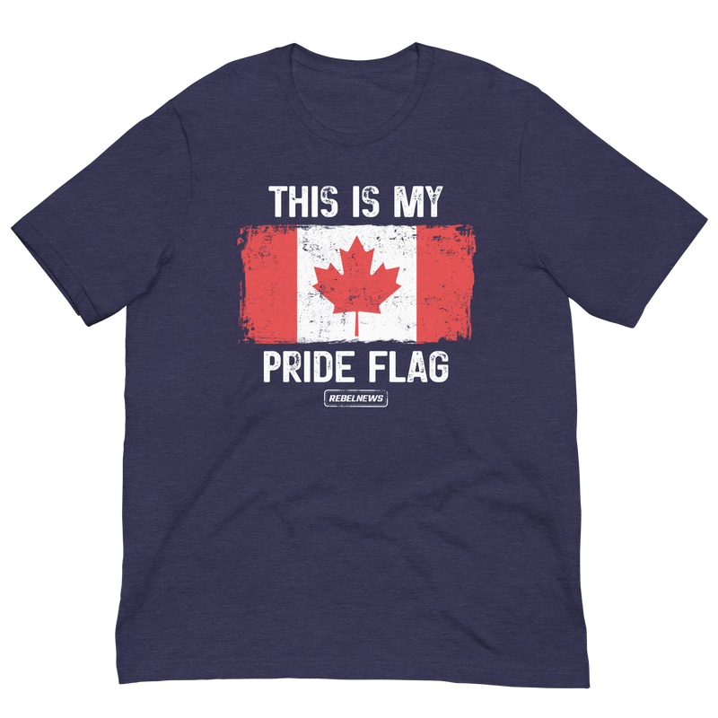 Load image into Gallery viewer, This is my Pride Flag (CA) Unisex T-Shirt