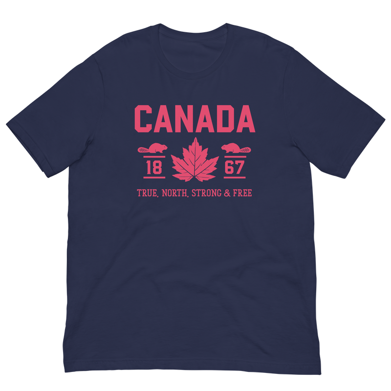 Load image into Gallery viewer, True North Strong and Free Unisex T-Shirt
