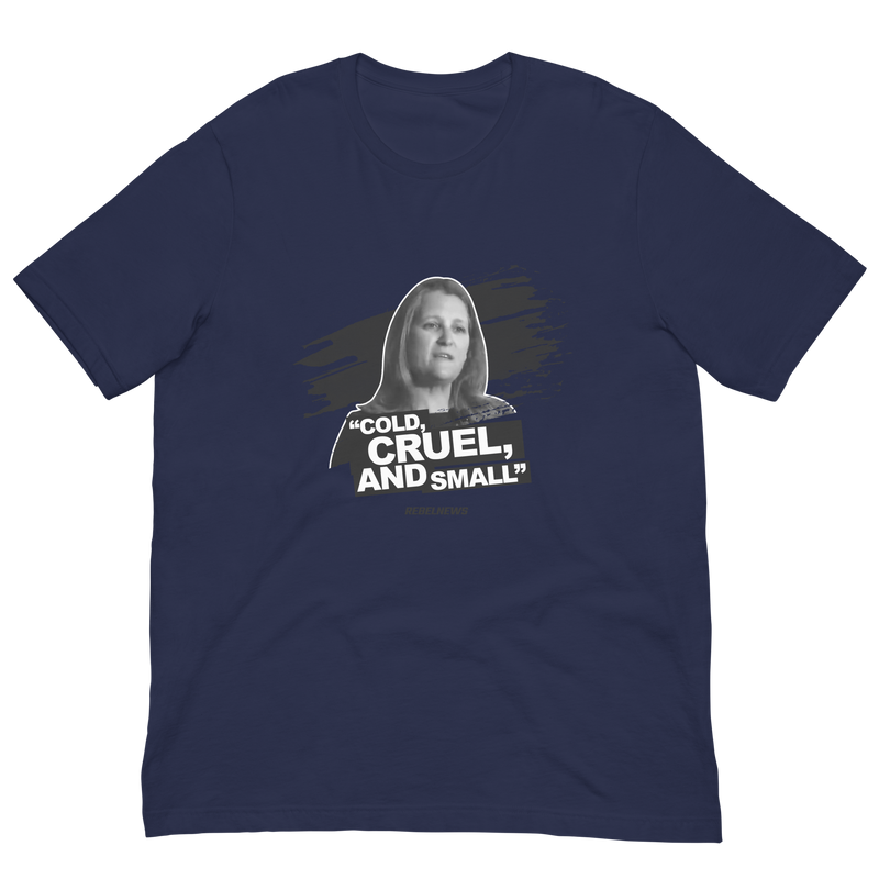 Load image into Gallery viewer, Cold, Cruel, and Small Unisex T-Shirt