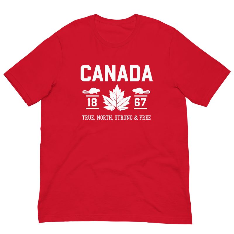 Load image into Gallery viewer, True North Strong and Free Unisex T-Shirt