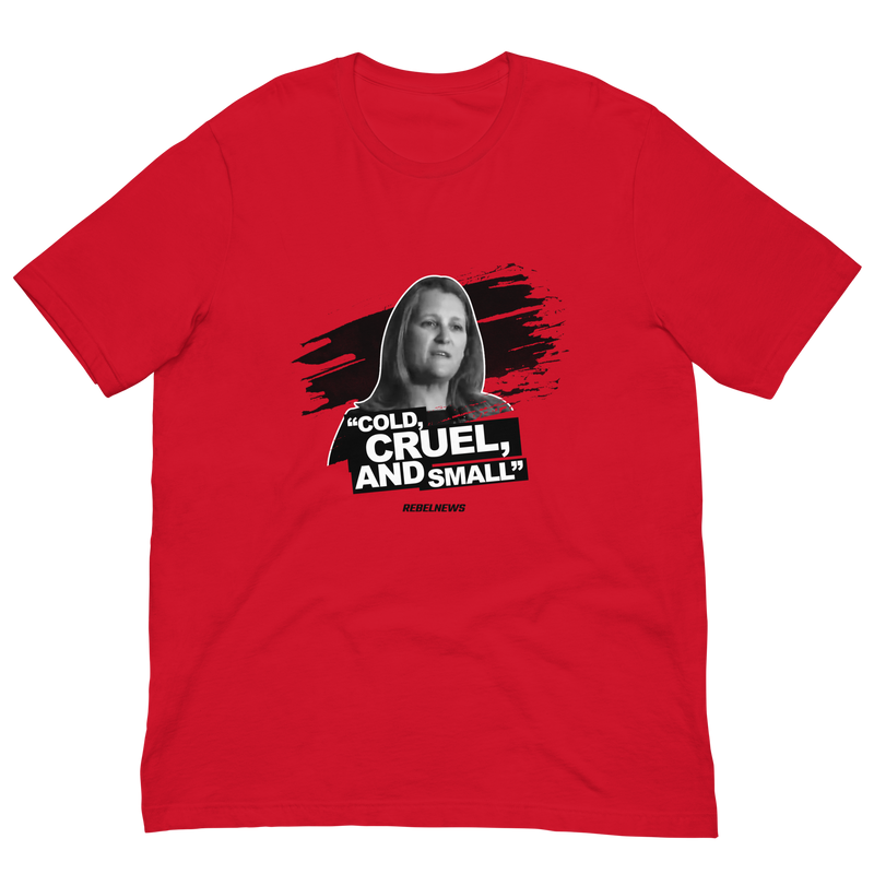 Load image into Gallery viewer, Cold, Cruel, and Small Unisex T-Shirt