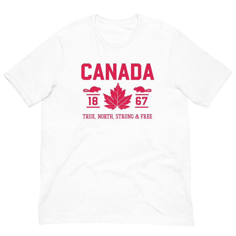 Load image into Gallery viewer, True North Strong and Free Unisex T-Shirt