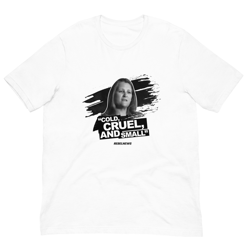 Load image into Gallery viewer, Cold, Cruel, and Small Unisex T-Shirt