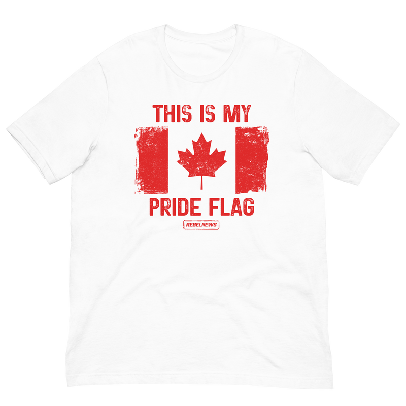 Load image into Gallery viewer, This is my Pride Flag (CA) Unisex T-Shirt
