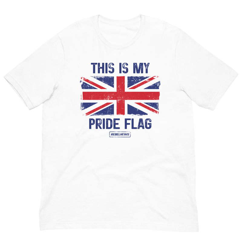 Load image into Gallery viewer, This is my Pride Flag (UK) Unisex T-Shirt