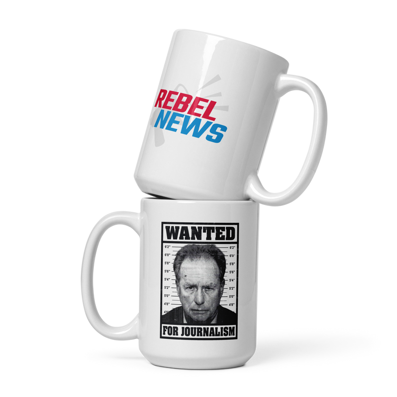 Load image into Gallery viewer, Wanted For Journalism Mug