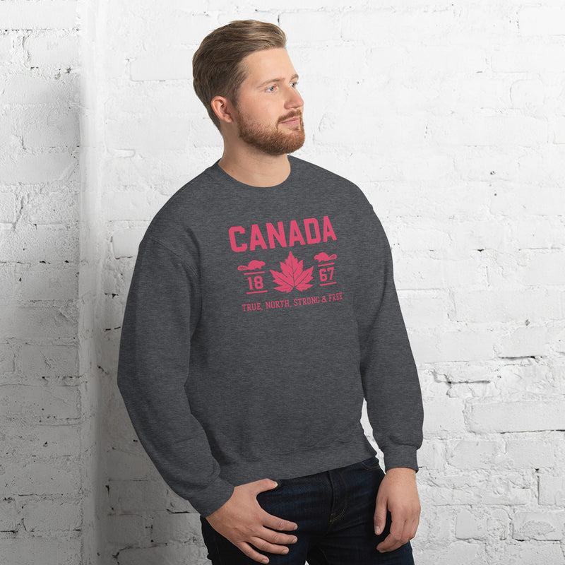 Load image into Gallery viewer, True North Strong and Free Unisex Sweatshirt
