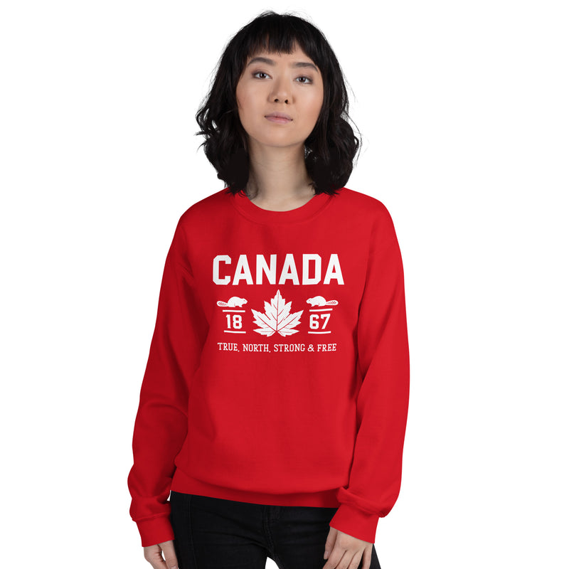 Load image into Gallery viewer, True North Strong and Free Unisex Sweatshirt
