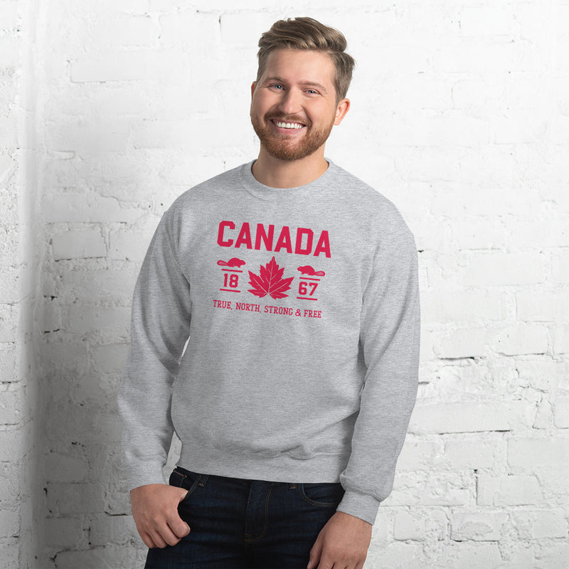 Load image into Gallery viewer, True North Strong and Free Unisex Sweatshirt
