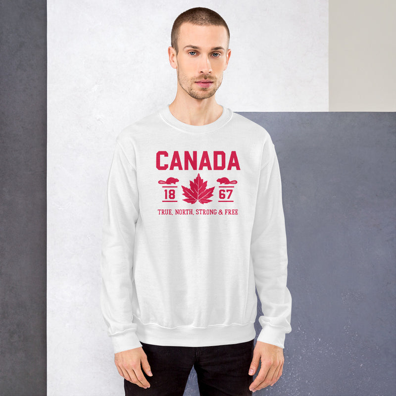 Load image into Gallery viewer, True North Strong and Free Unisex Sweatshirt
