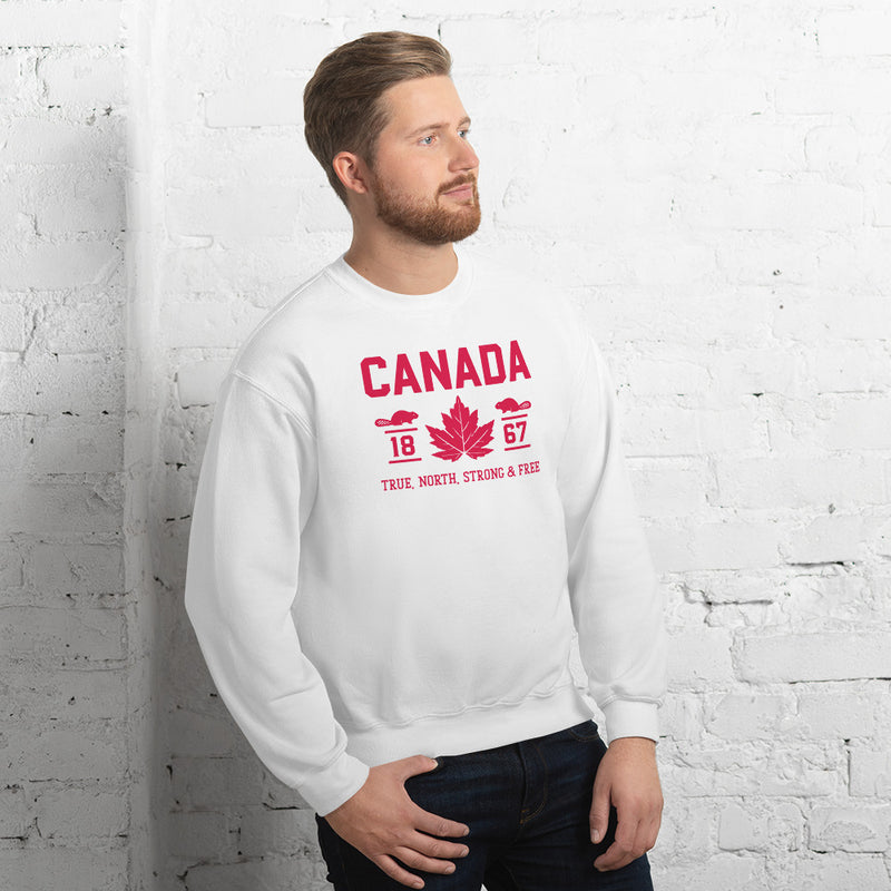 Load image into Gallery viewer, True North Strong and Free Unisex Sweatshirt
