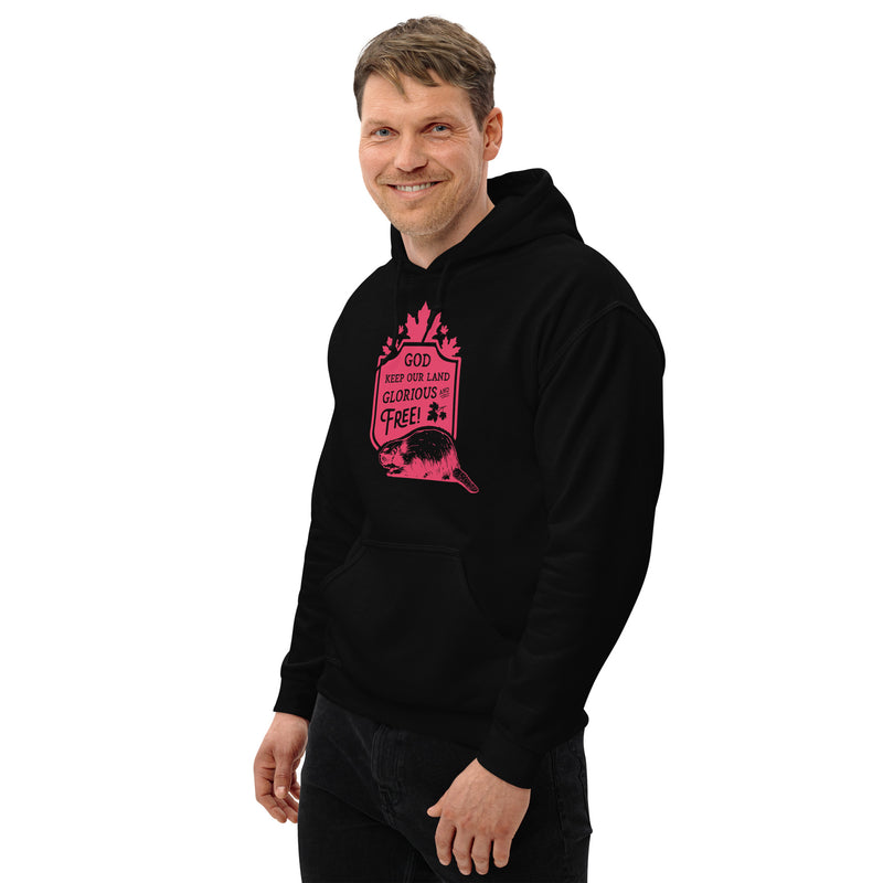 Load image into Gallery viewer, God Keep Our Land Unisex Hoodie
