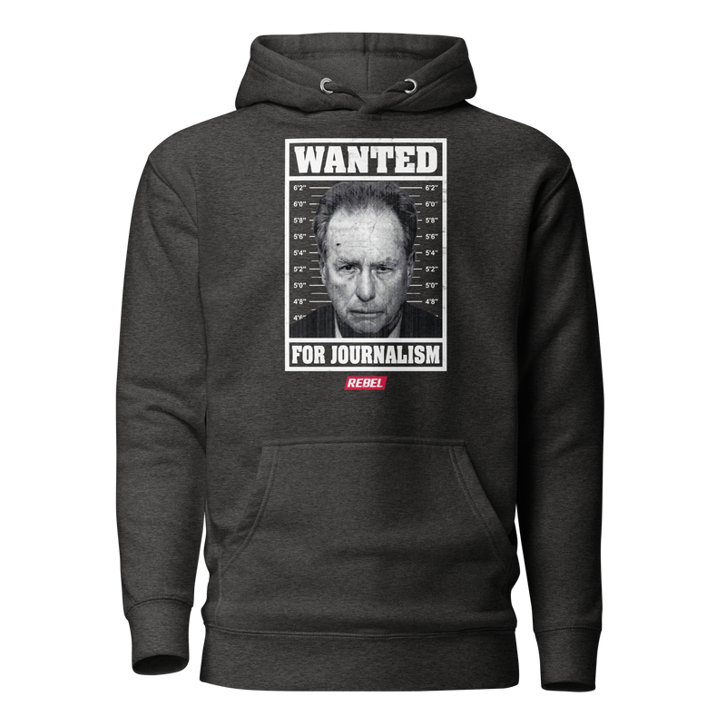 Load image into Gallery viewer, Wanted For Journalism Unisex Hoodie
