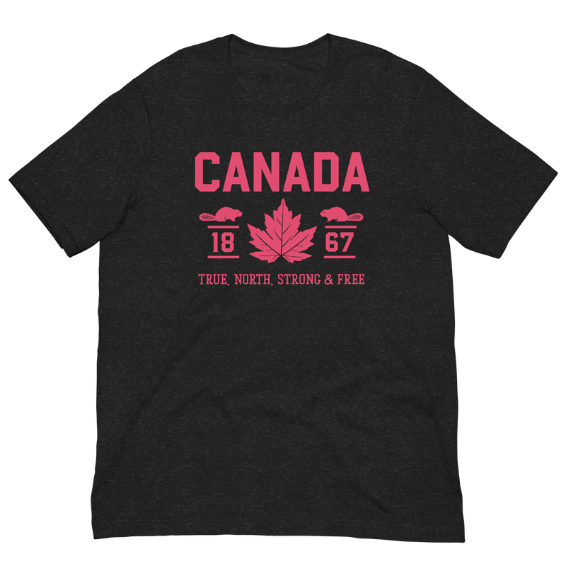 Load image into Gallery viewer, True North Strong and Free Unisex T-Shirt

